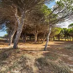 Affittasardegna-case Pompia *
