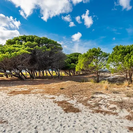 Сasa de vacaciones Affittasardegna-case Pompia Siniscola