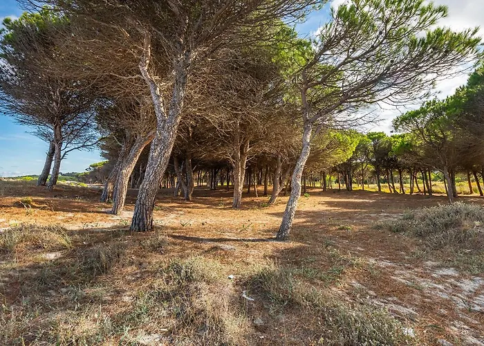 Affittasardegna-case Pompia *