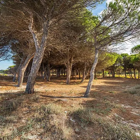 Affittasardegna-case Pompia *