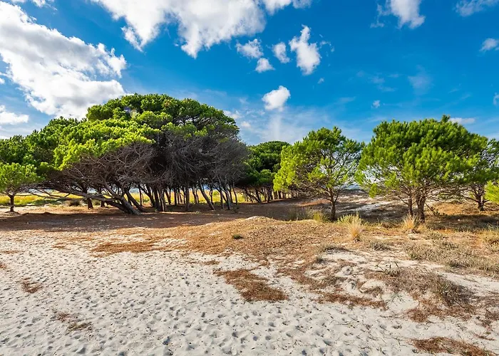 بيت للعطل Affittasardegna-case Pompia سينيسكولا